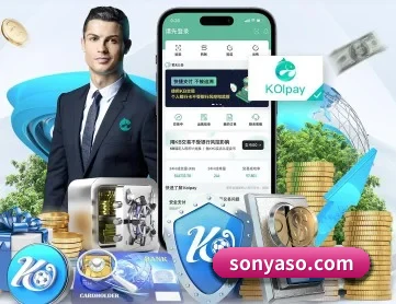 问鼎网页 APP 深度功能